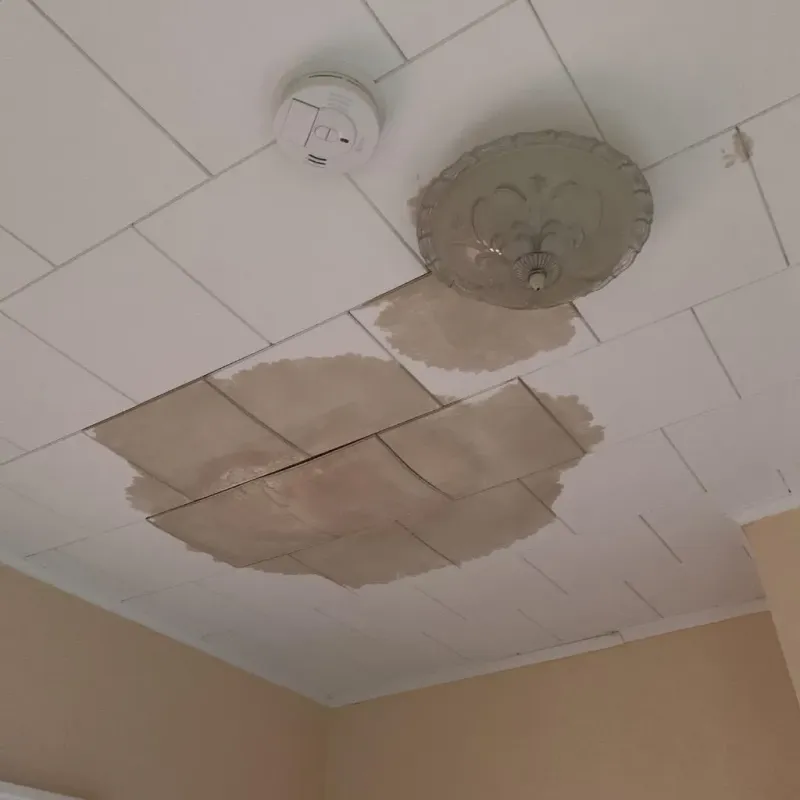 Ceiling Water Damage Repair in Terryville, CT