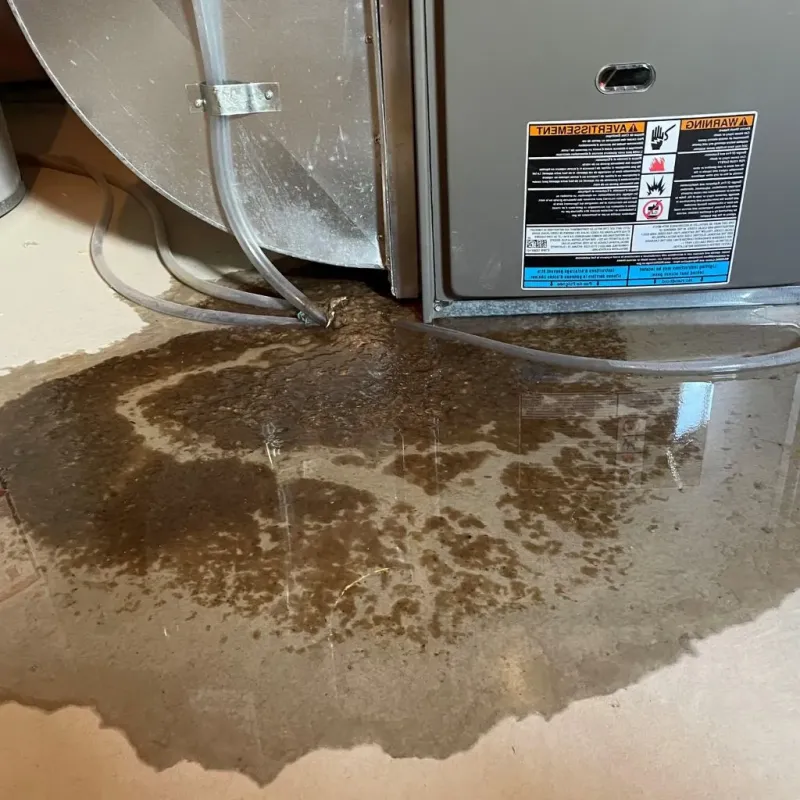 Pipe Burst and Leak Restoration in Terryville, CT