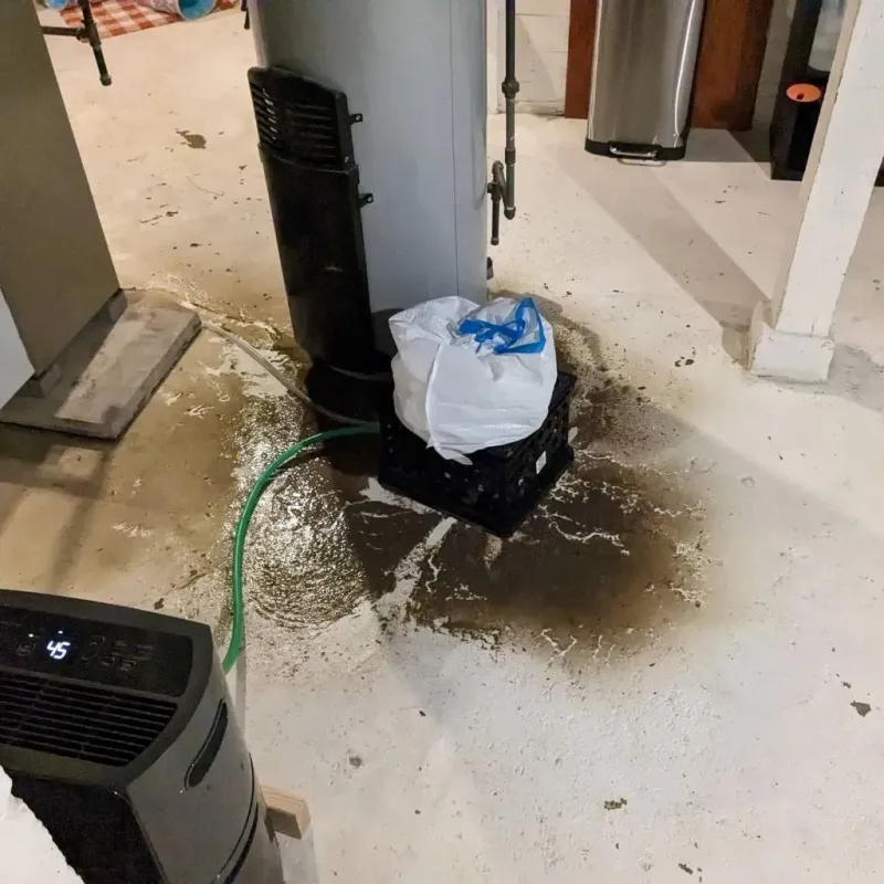 Sewage Backup Cleanup Service in Terryville, CT